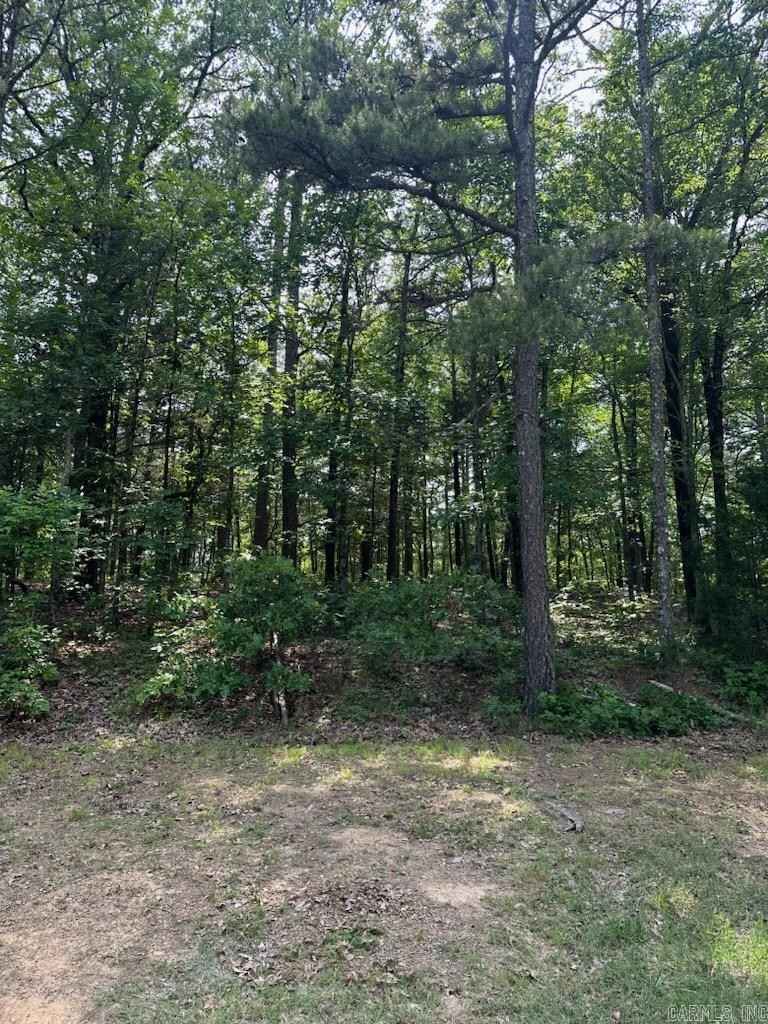 Lot 91 Dave Crk Pkwy  