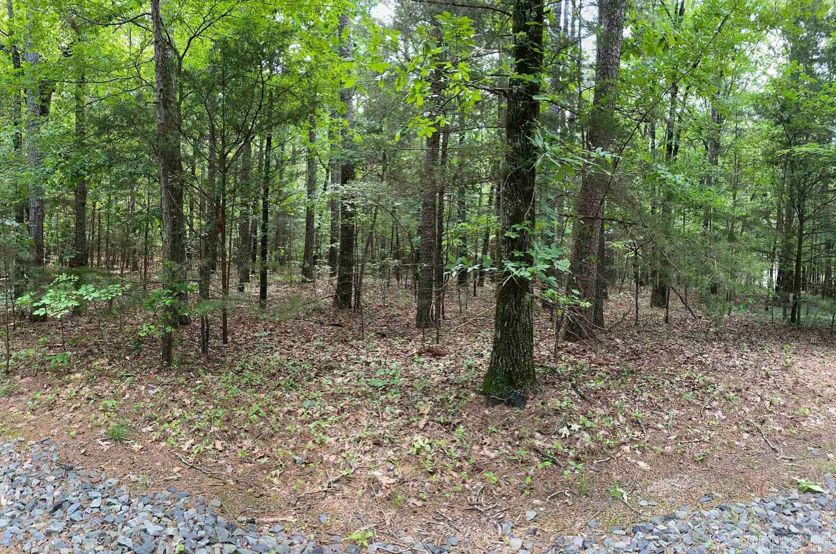 Lot 93 Tannenbaum Rd  