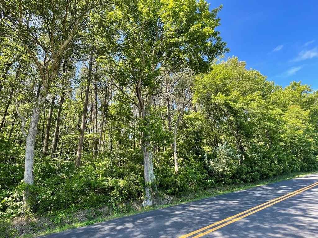 Lot 3A Occohannock Nck Rd  