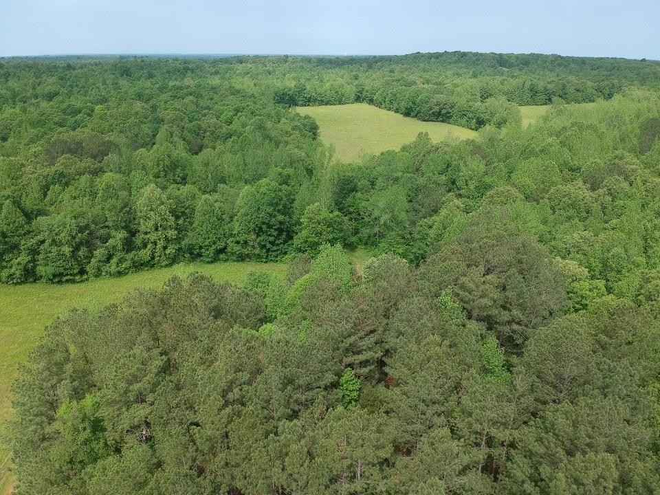 2433 Little Sulphur Crk Rd  