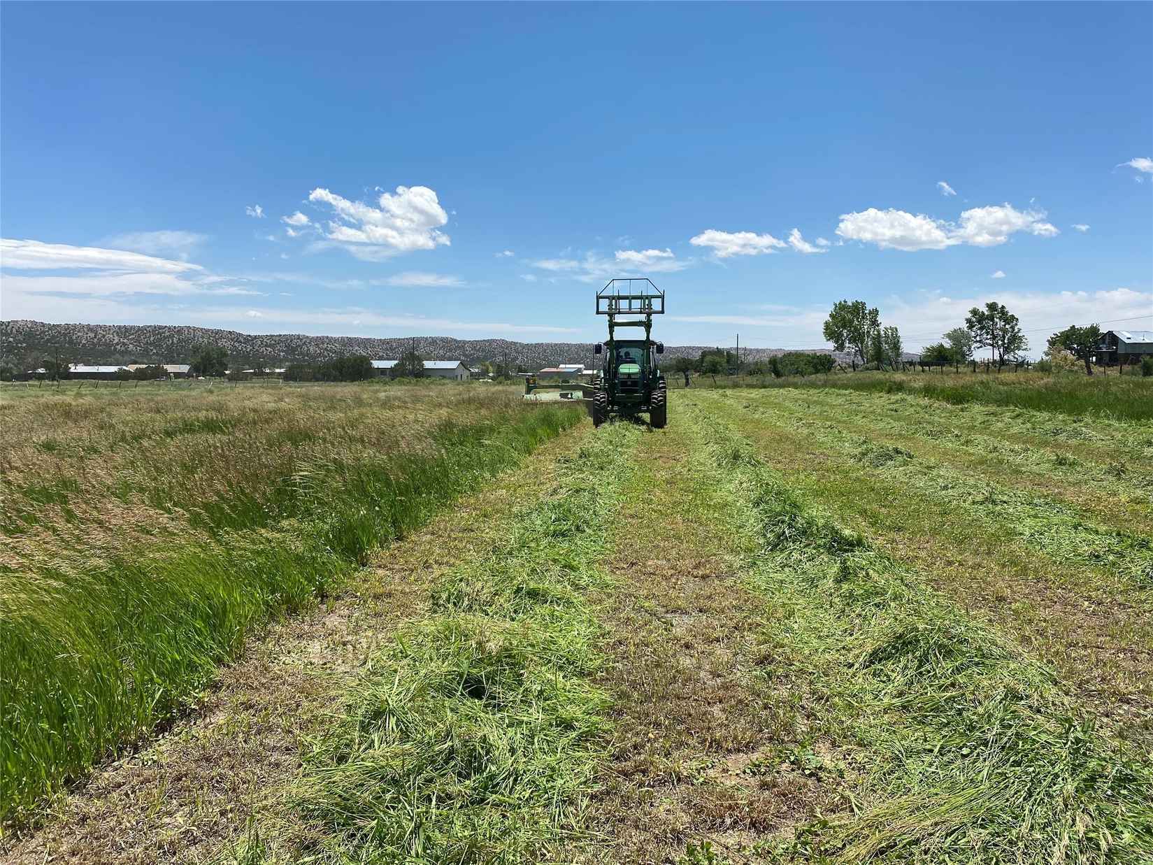 Tbd County Rd 215  