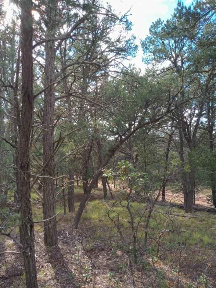 Lot 52 Unit 2 San Pedro Est  