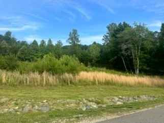 Lot 14 Caroline CT  