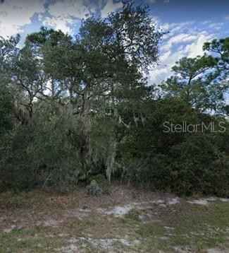 1345 HILLSBOROUGH Ct  