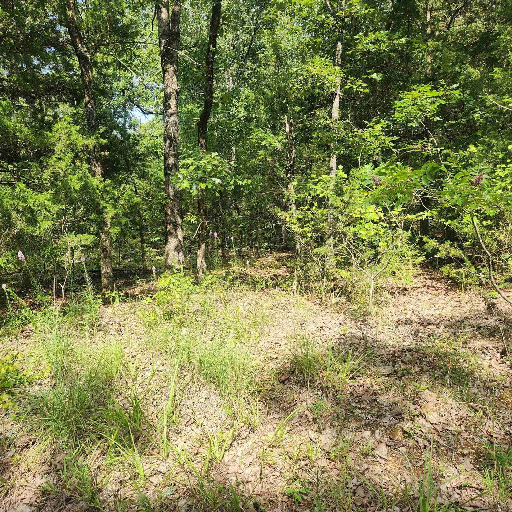 L-15 16 B-5 Hictochee Dr  