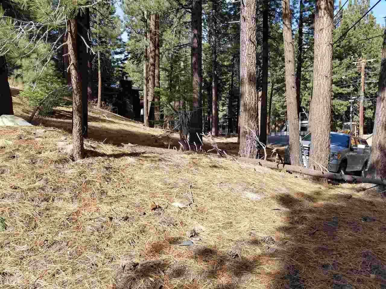 123 Alpine Cir  