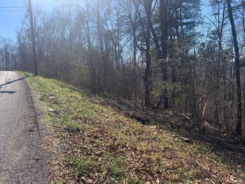 Lots 54-56 Black Oak Ests Rd  