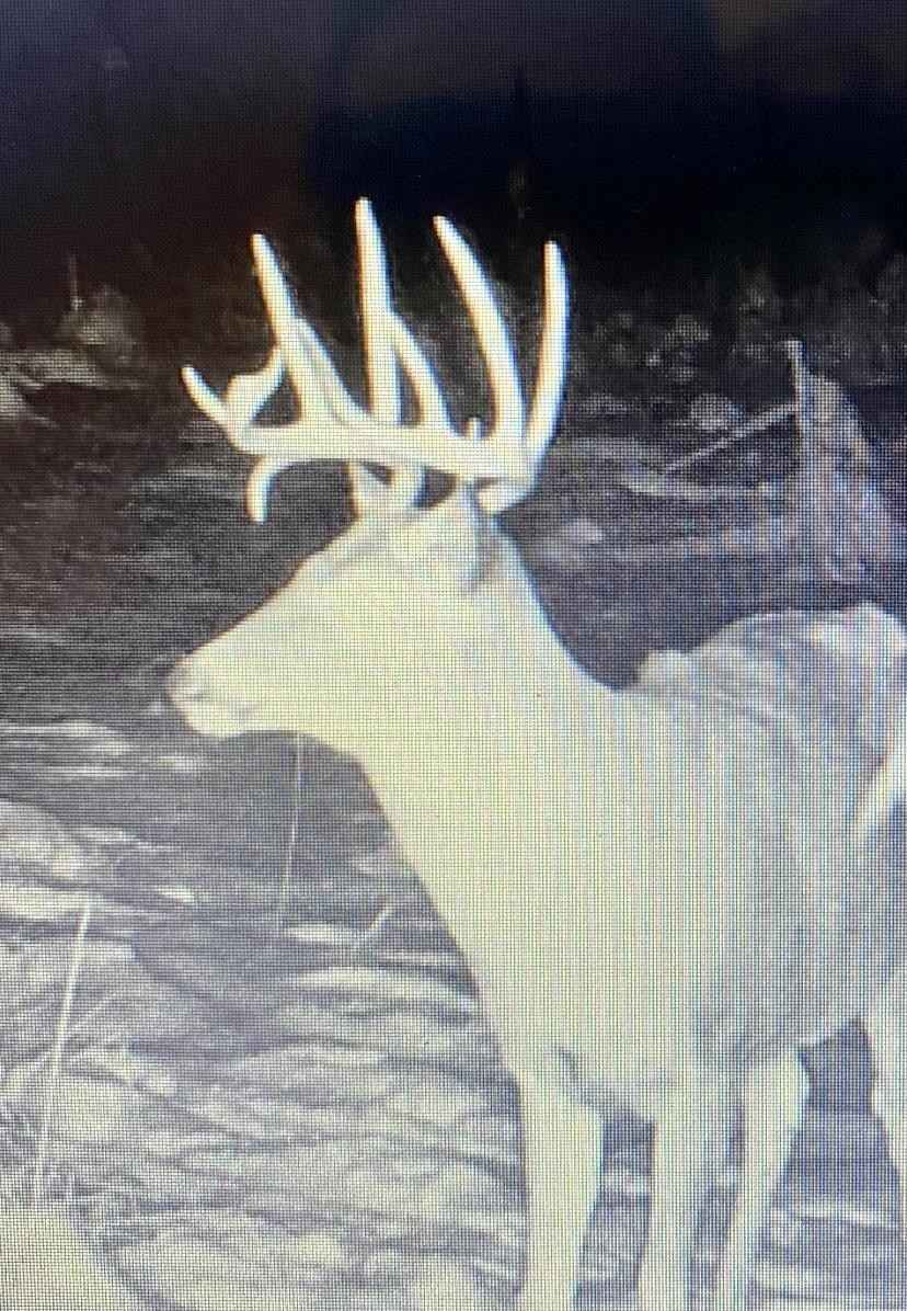 80 37 Ac County Rd CX  