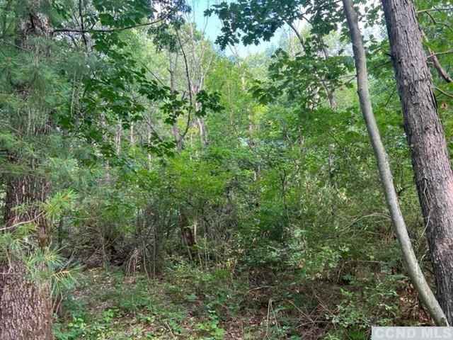377 County Rte 7  