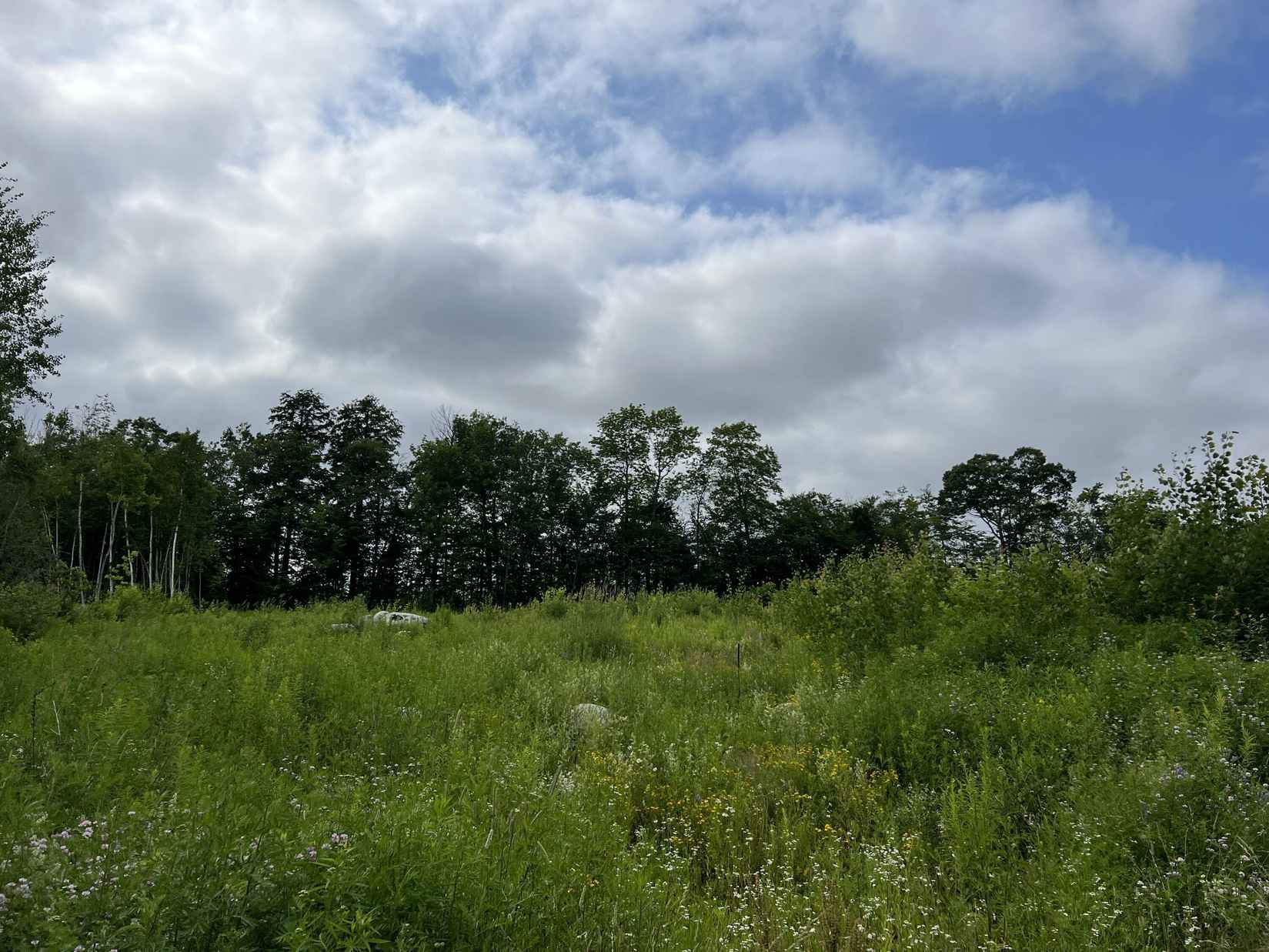 115 Airport Rd  