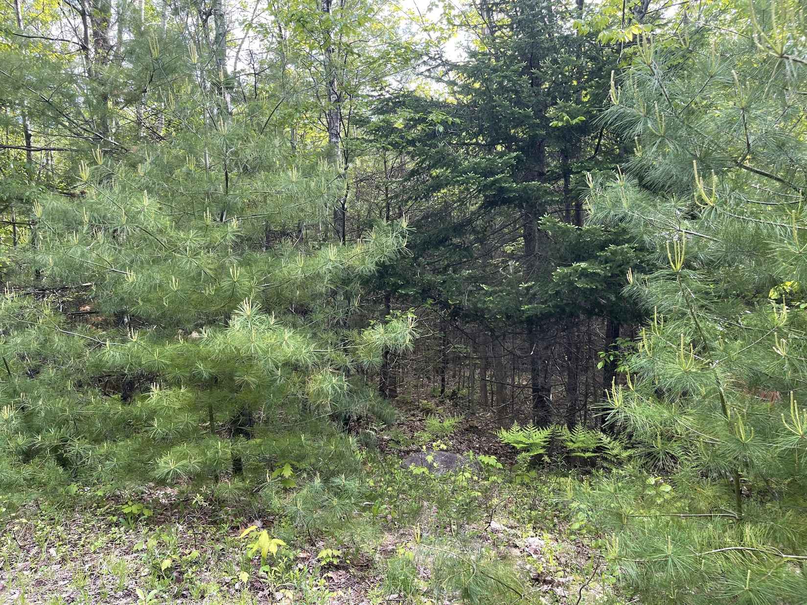 Lot#4 Farms Edge Rd  