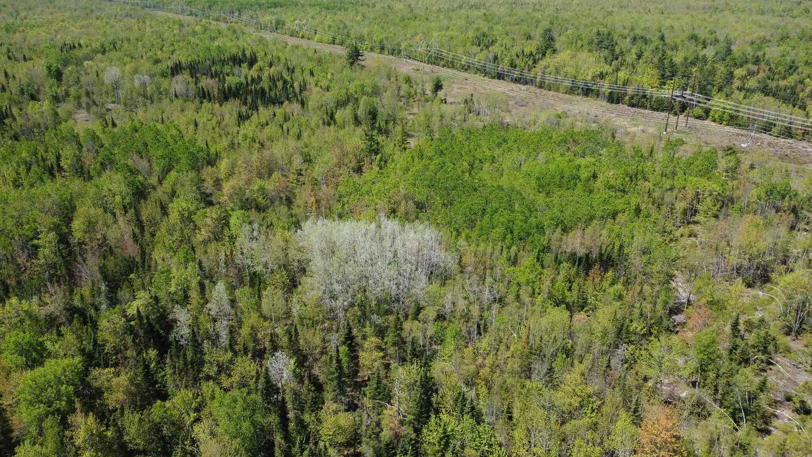 Lot 2 Johnson Flt Rd  