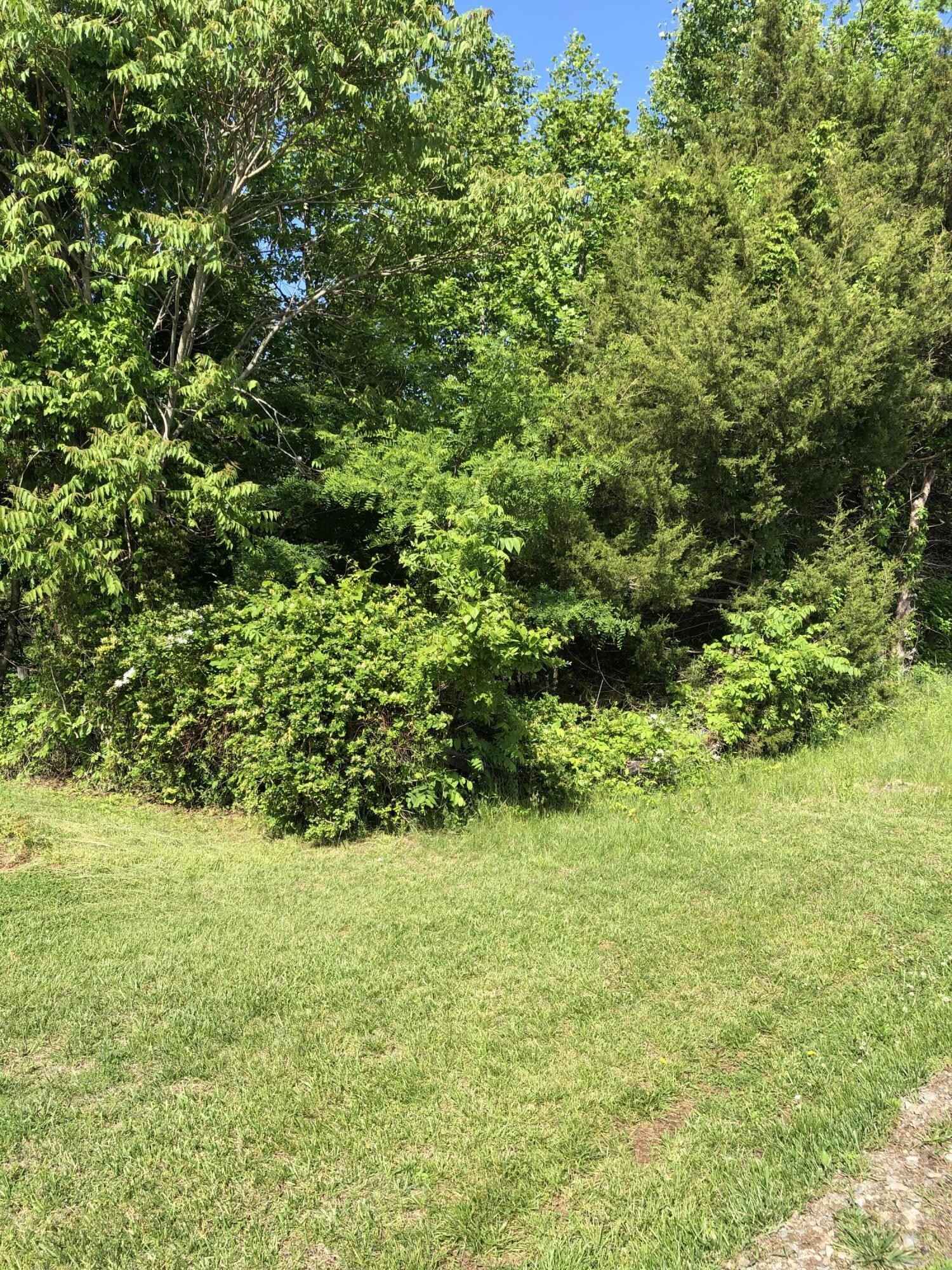 Lot 3 Webster RD  