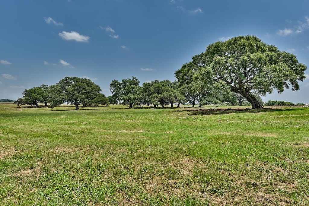 TBD Hartfield Rd Unit 5  