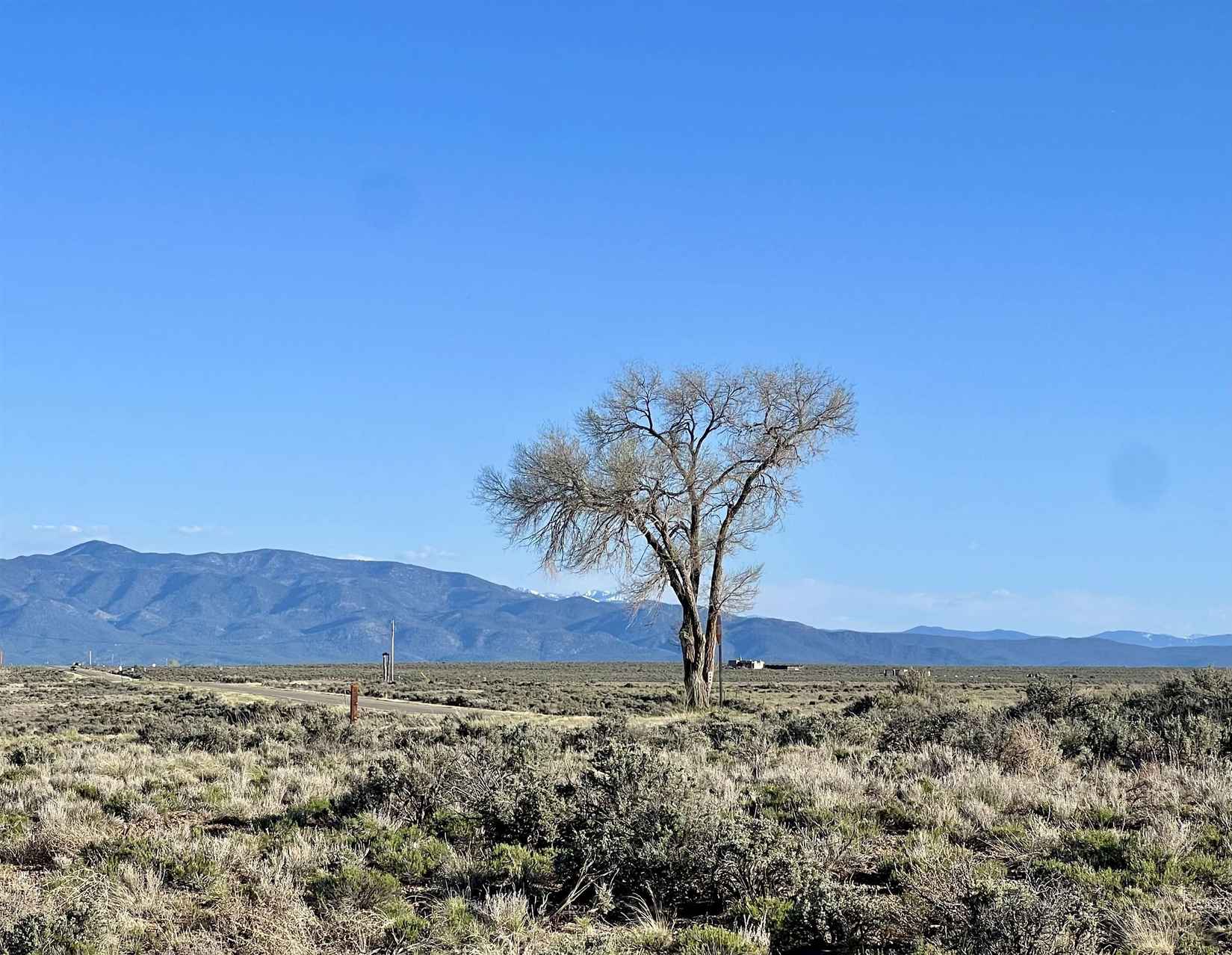 Lone Tree Lot 1 Greater World  