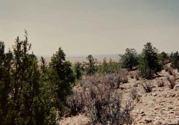 54270 N PAINTBRUSH LN  