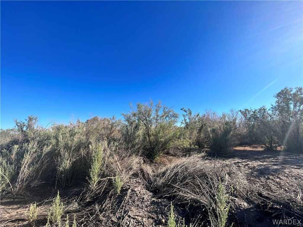 2849 Desert Flora Pl  