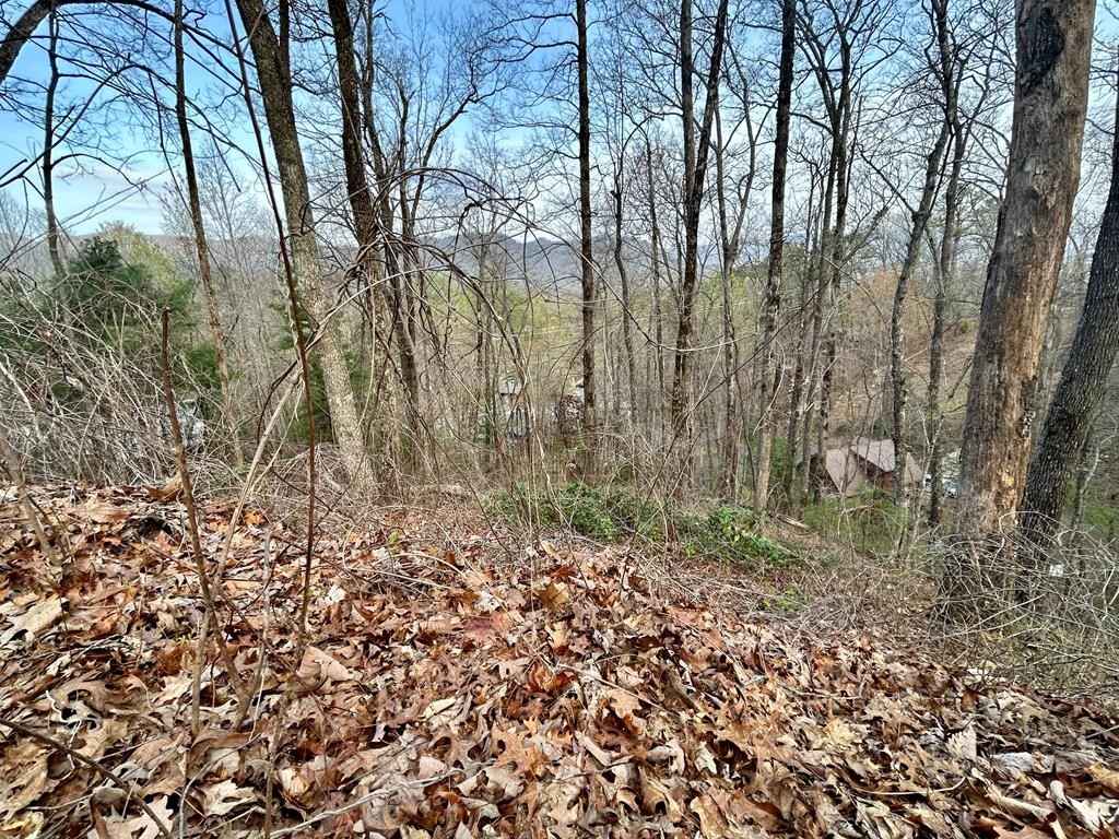 Lot 6 Biltmore Cir  