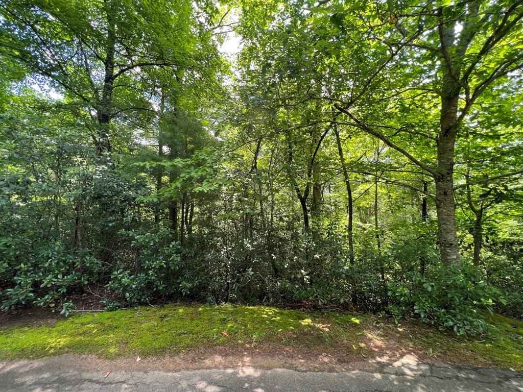 Lot 32 Nantahala Cir  