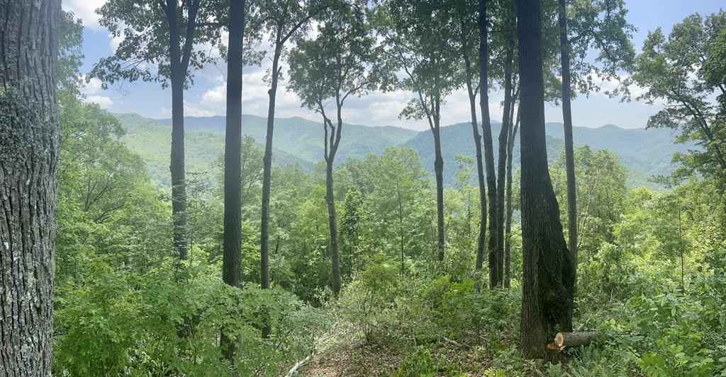 Lot 13 High Spgs Rd  