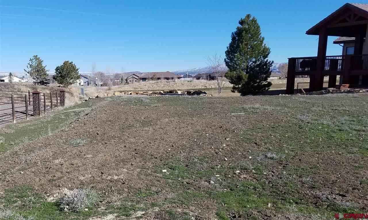 Lot 2303 Painted Wall Ln  
