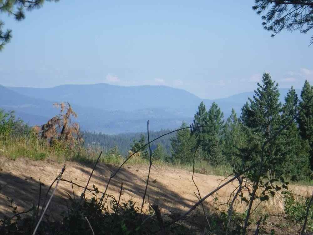 Lot 3 Moose Ridge Way  