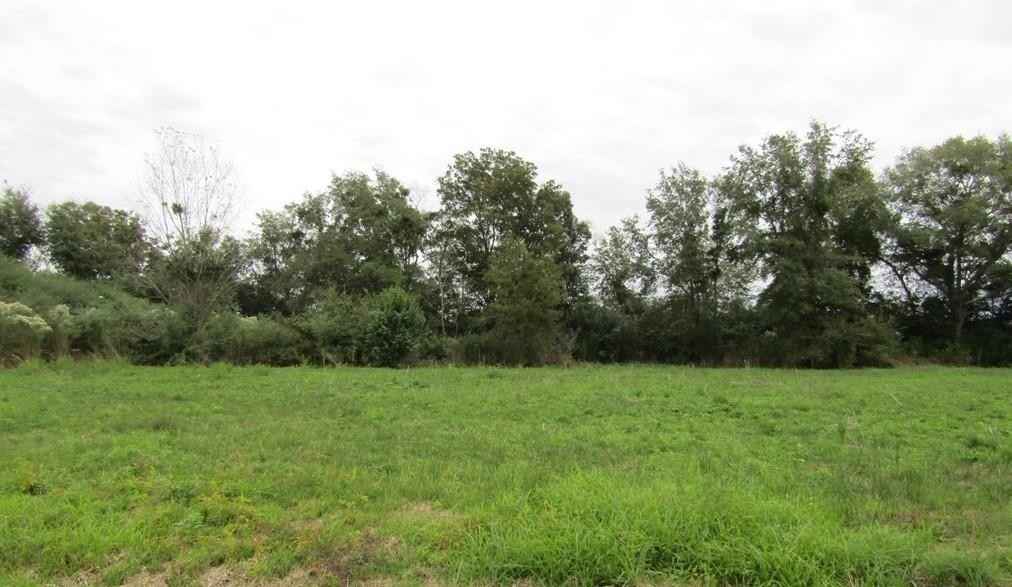 Lot 23 Lakeshore Rd  