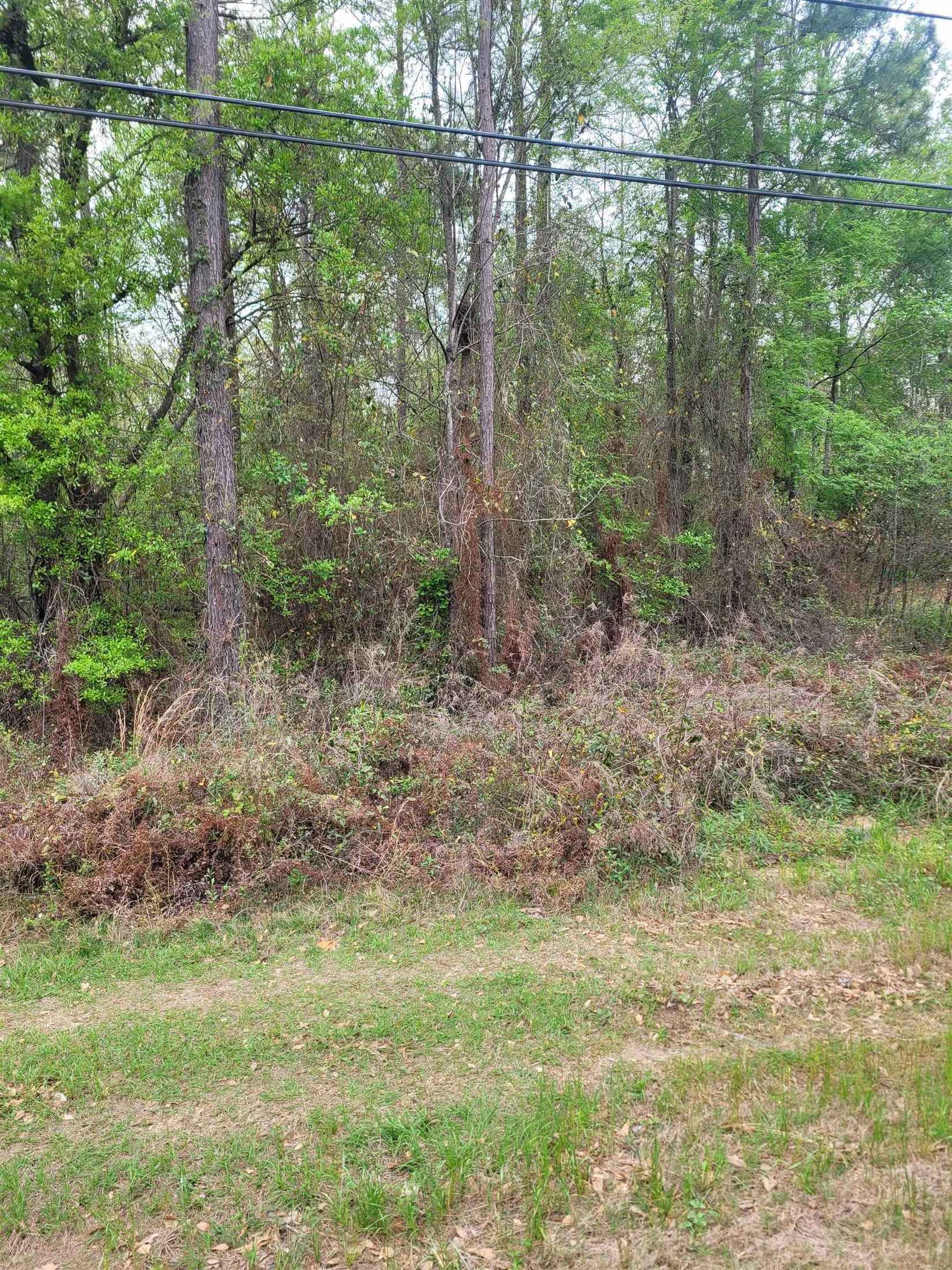 Lot 1 Faceville Hwy  