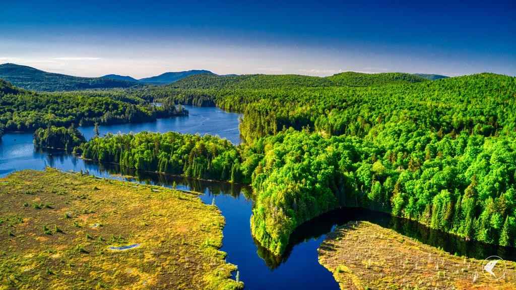 46 Twin Ponds Preserve  