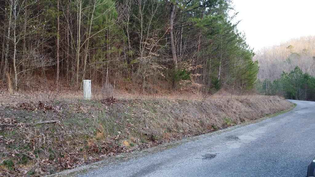 1451 Sloan Gap Rd  