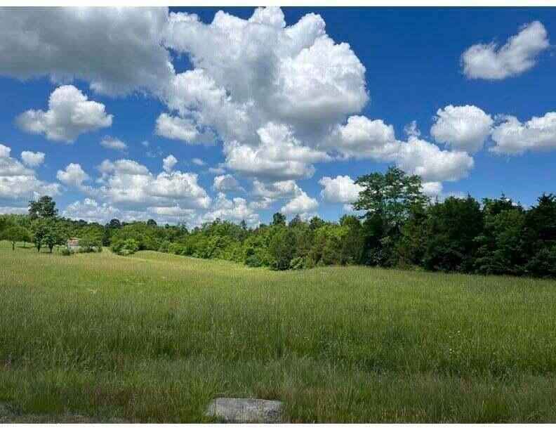 5 162 Acres Bonds Ml Rd  