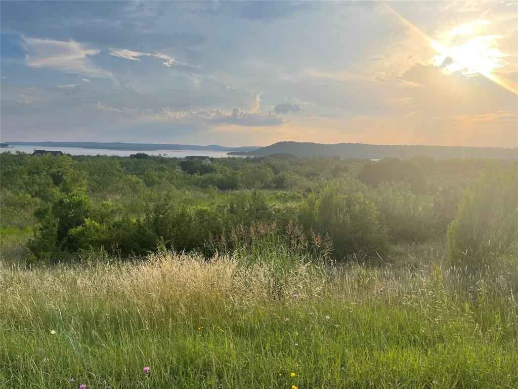 Lt1060 Cinnamon Teal  