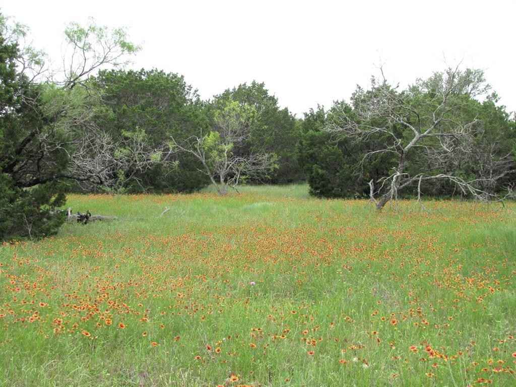 Tbd-lot 41 PR 42107  