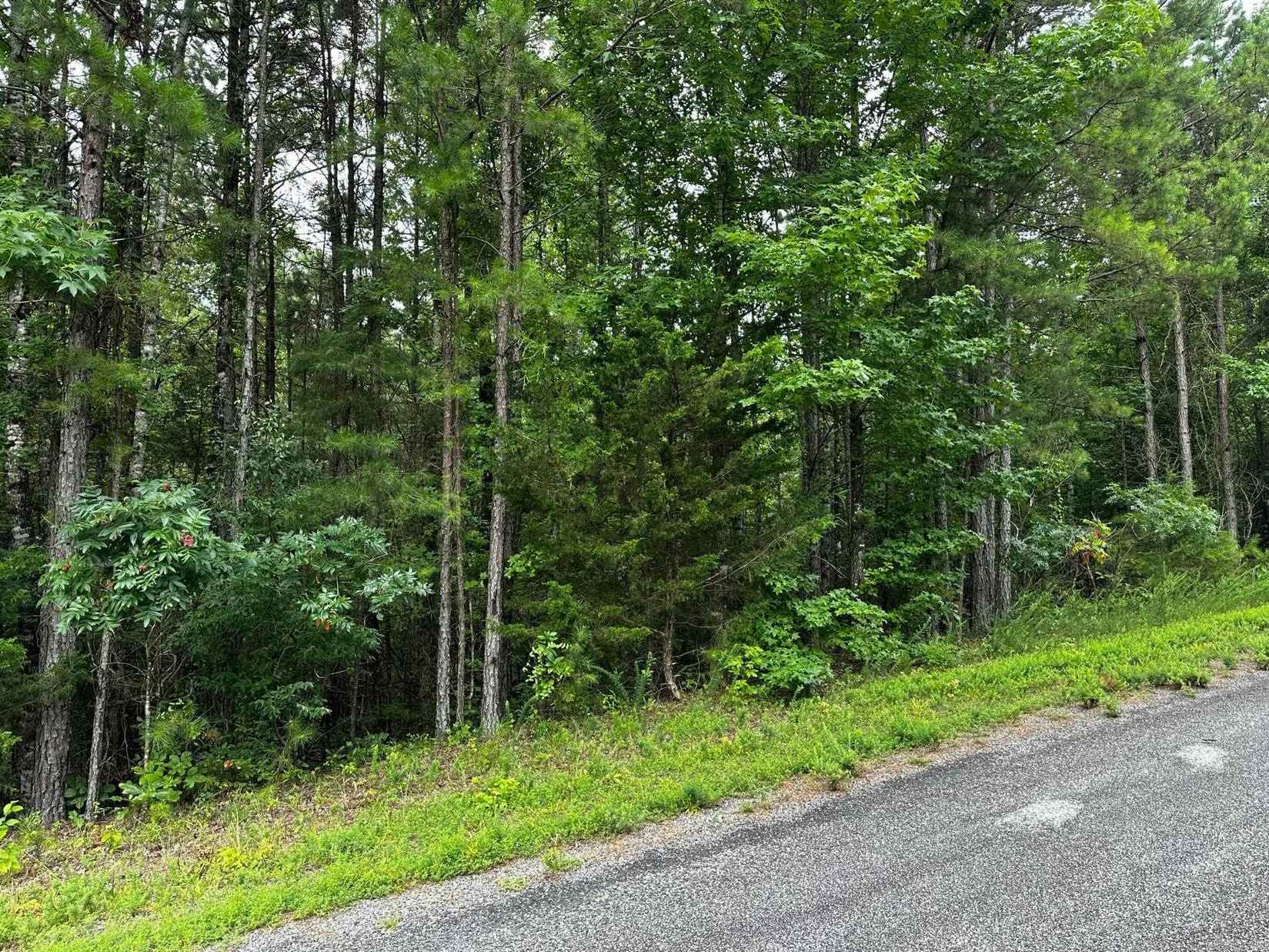 Lot 105 Cobalt Bay Dr  