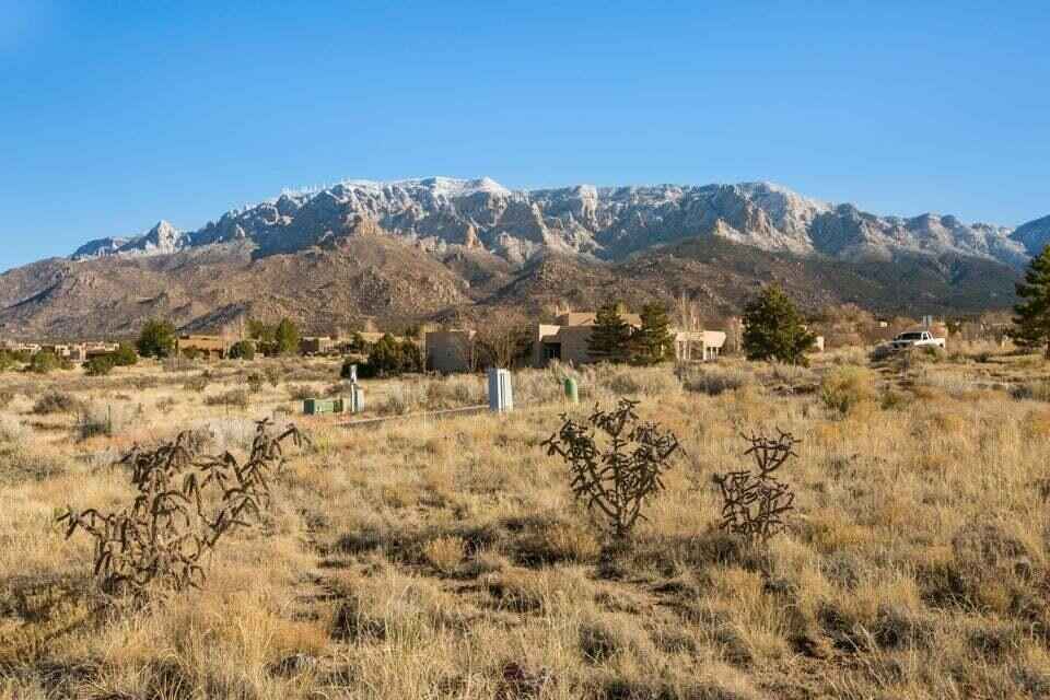 13534 Elena Gallegos Pl NE  