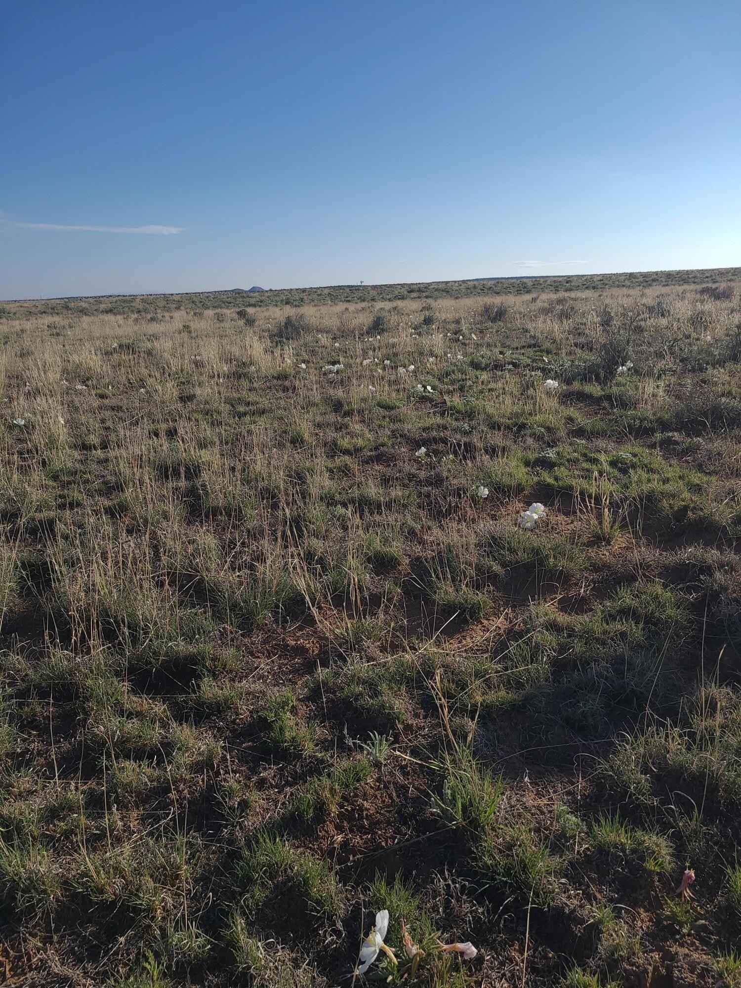 Lot 25 26 Block 3  