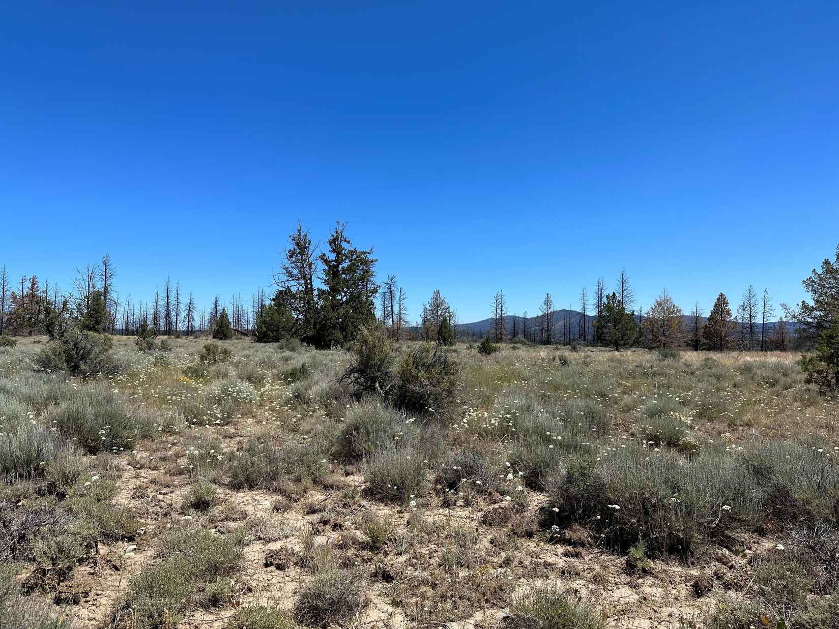 Lot 72 Eva Trl RD  