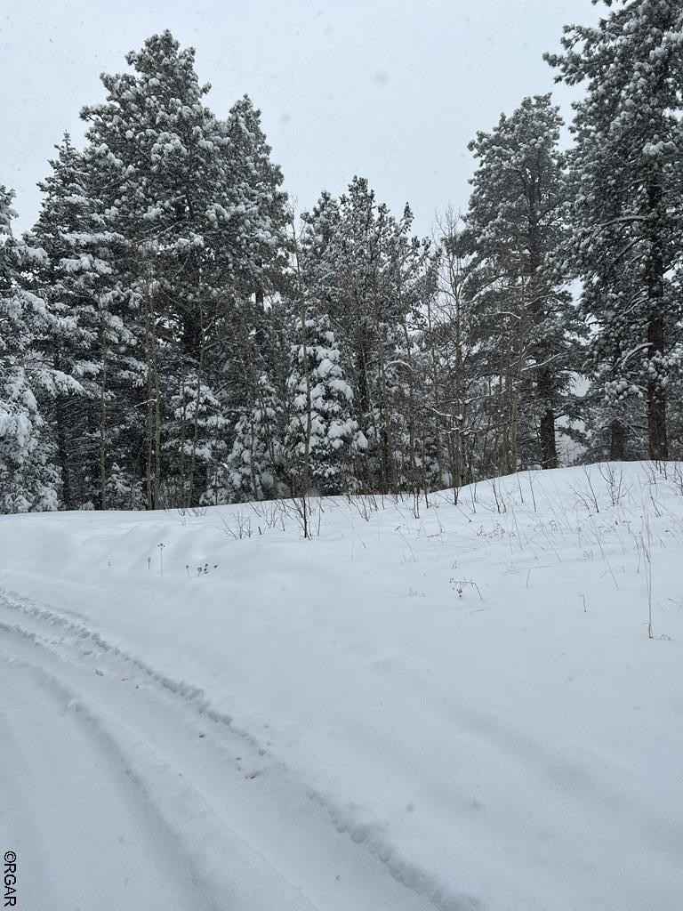 Lot 4 Lake Isabell Dr  