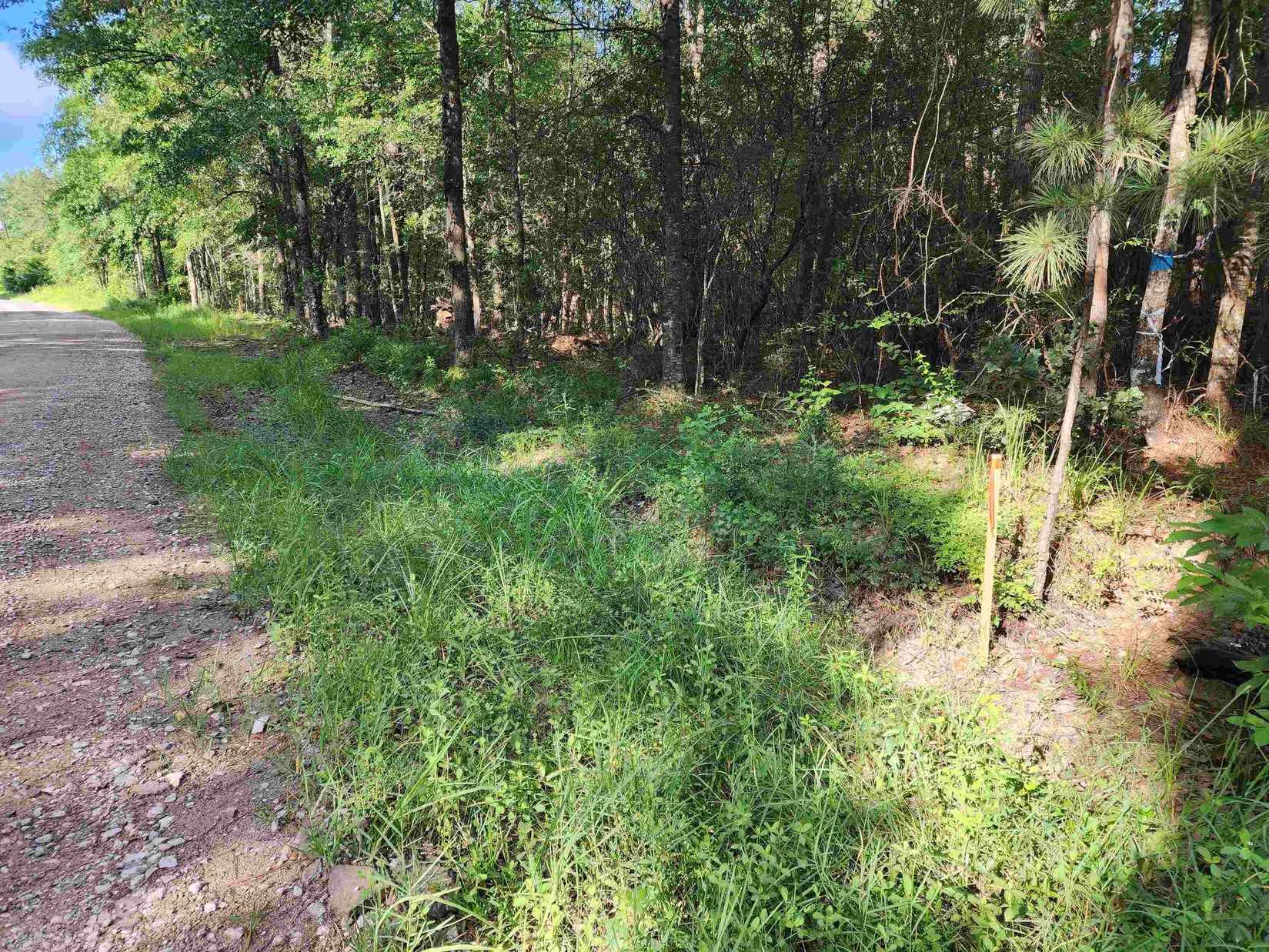 4 9692 AC County Rd 459  