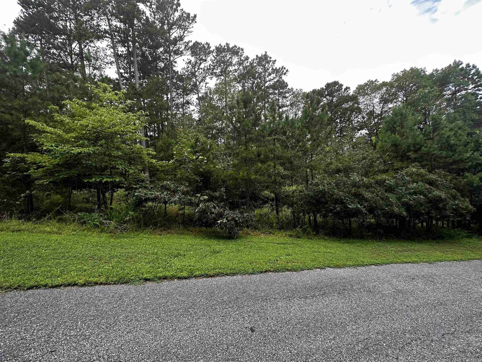 Lot 89 Cobalt Bay Dr  