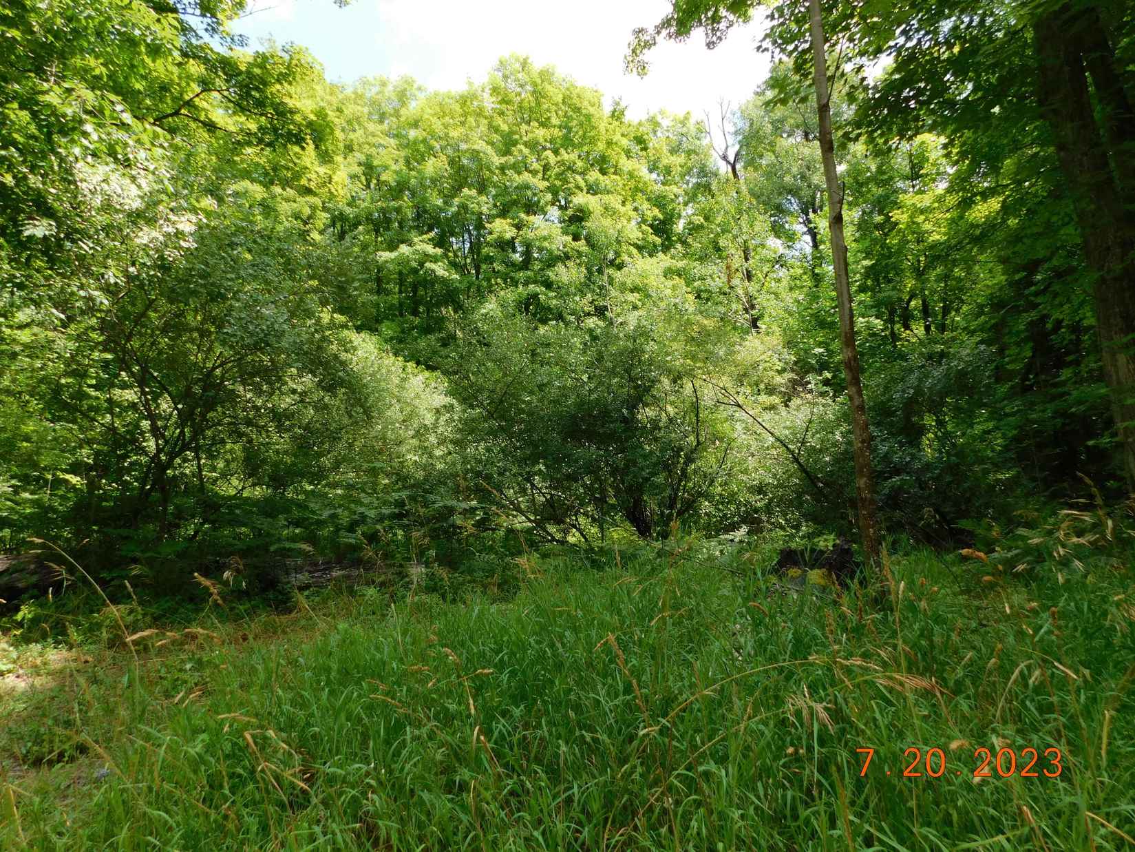14293 Chief Rd  