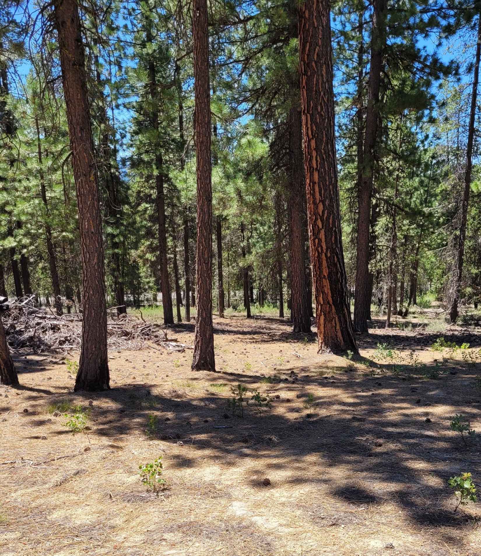 201 Hwy 58  