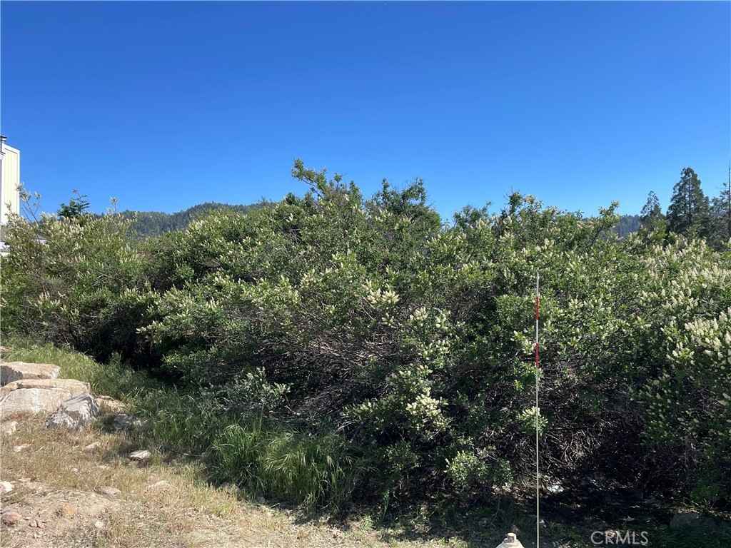 17 Lot 17 Lupin Way  