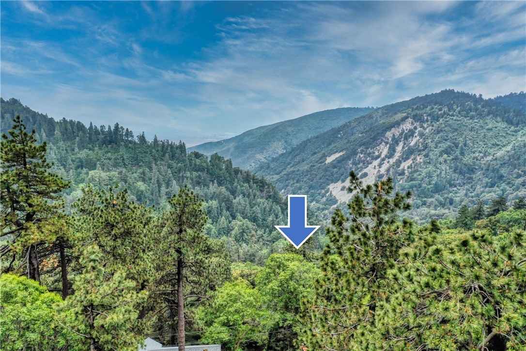 3 Lot 3 W Buckthorn Dr W  