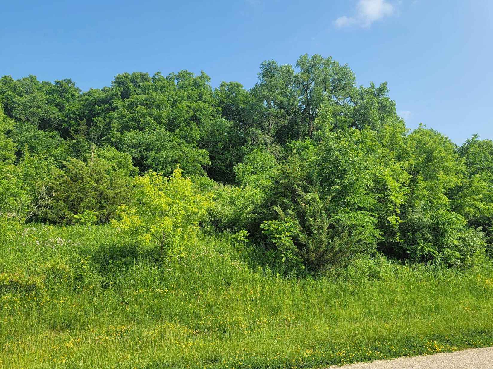 9 Sugarcreek  