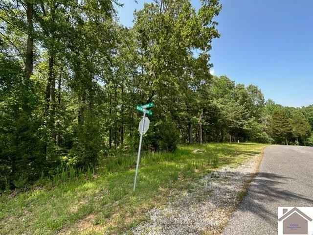 Lot Unit 2 Buckbrush Ln  