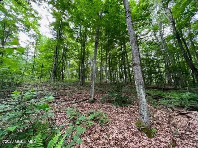 Lot 1 McGregor Rd  