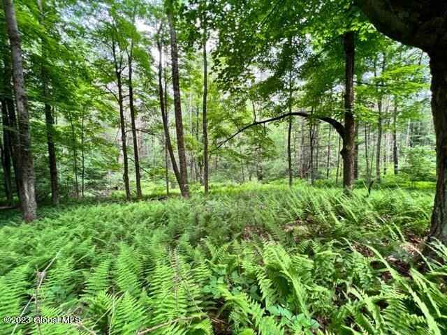 Lot 2 McGregor Rd  