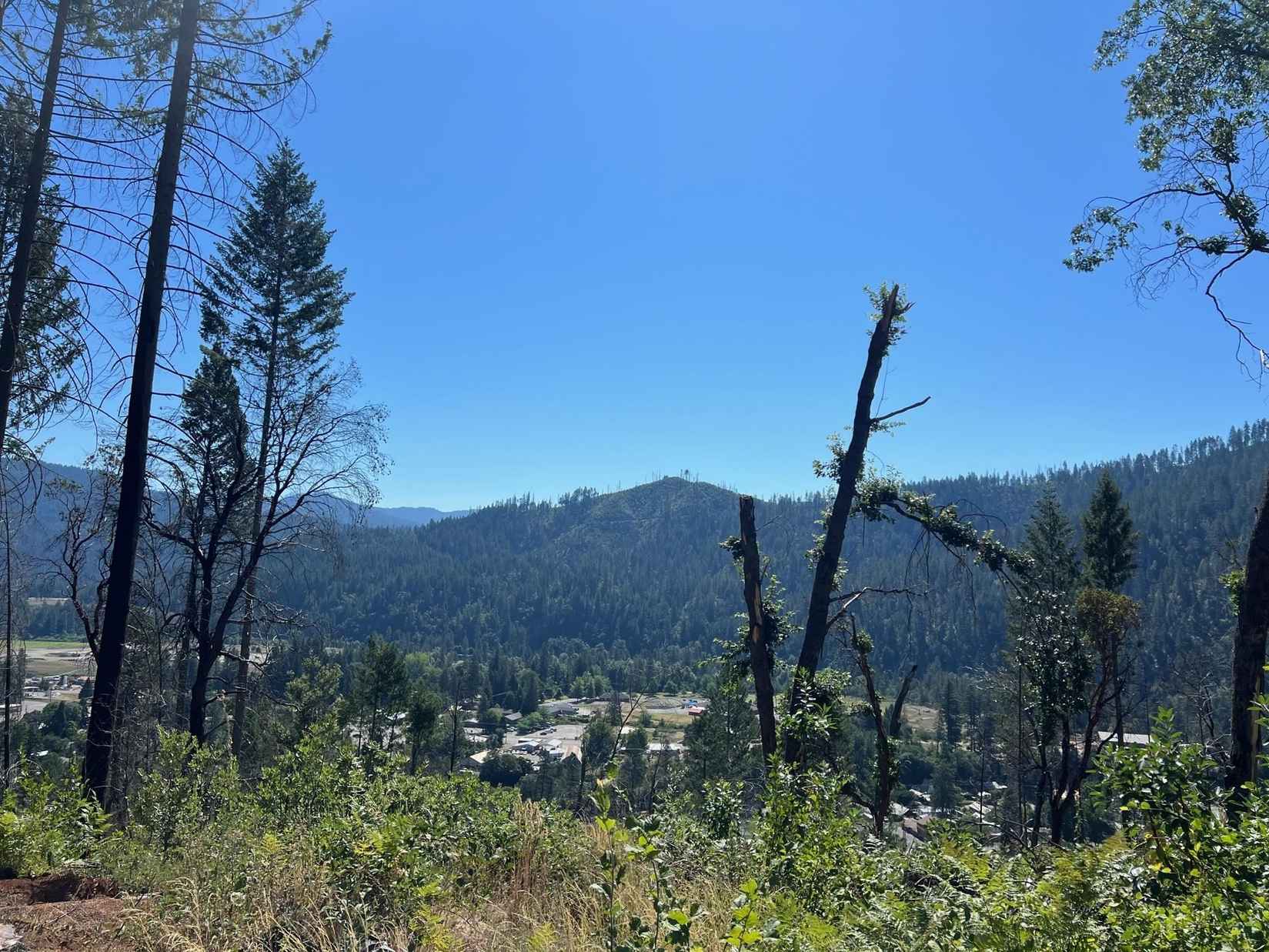 26 6 acres Buckhorn Rd  