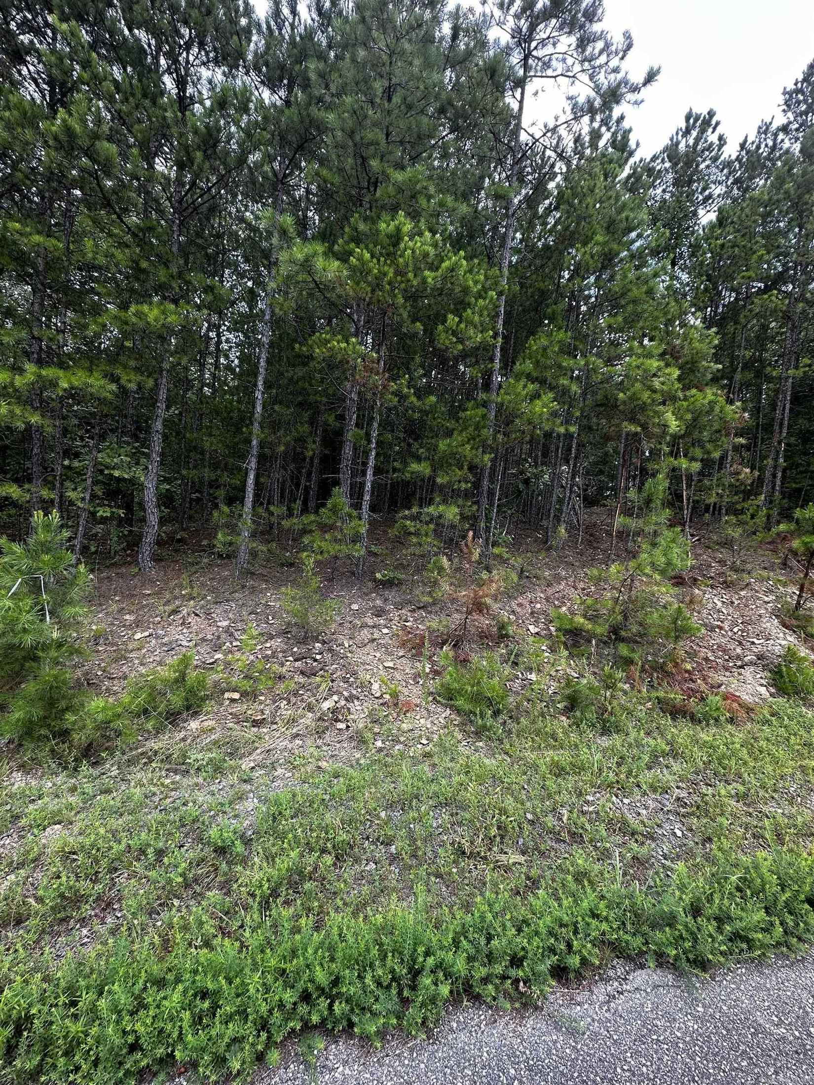 Lot 103 Cobalt Bay Dr  